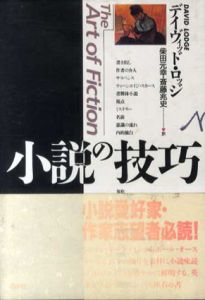 小説の技巧/デイヴィッド・ロッジ　柴田元幸/斎藤兆史訳