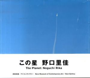 この星　The Planet： Noguchi Rika/野口里佳