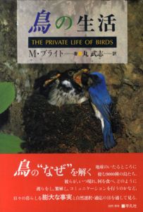 鳥の生活/M・ブライト　丸武志訳