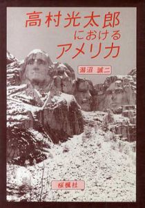 高村光太郎におけるアメリカ/潟沼誠二のサムネール