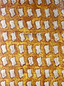 クロード・ビアラ　Claude Viallat：Exhibition catalogue/