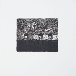 中林忠良版画「転位86’　地　VI」/Tadayoshi Nakabayashi