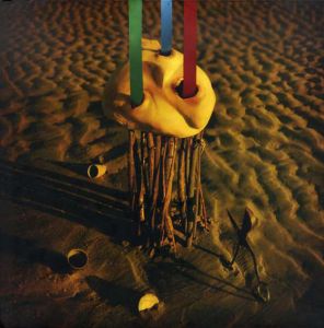 デイブ・マッキーン　Dave McKean: The Particle Tarot (the Minor Arcana)/Milcho Mancheveski