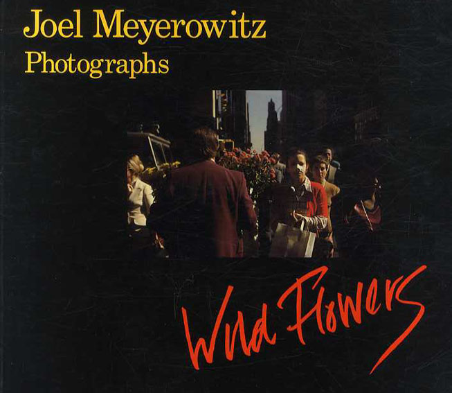 Amazon.co.jp: Joel Meyerowiz ジョエル マイロウィッツ の写真
