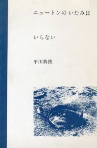 ニュートンのいたみはいらない/平川典俊