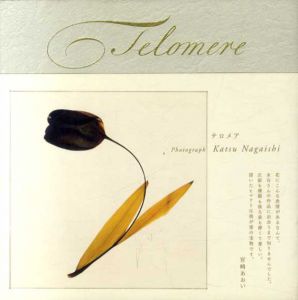Telomere/永石勝