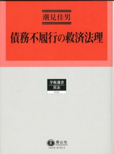 債務不履行の救済法理　学術選書33/潮見佳男
