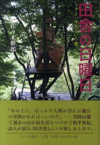 田舎の日曜日　ツリーハウスという夢/佐々木幹郎のサムネール