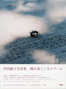 種を蒔く　Semear/川内倫子