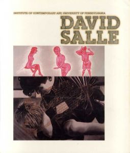 デヴィッド・サーレ　David Salle/Janet Kardon