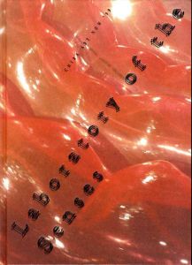 チバ・アート・ナウ'99　知覚の実験室/藤原隆洋/富田俊明/斎藤美奈子/安田佐智種/篠田太郎