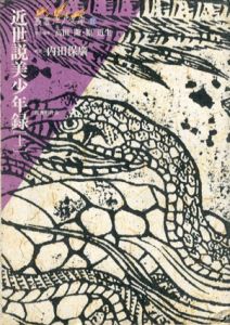近世説美少年録　叢書江戸文庫　上下揃/滝沢馬琴/内田保広
