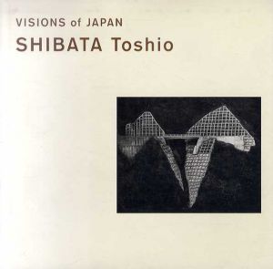 VISIONS of JAPAN SHIBATA Toshio/柴田敏雄　伊藤俊治監修　本尾久子編のサムネール
