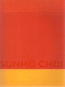 Sunho Choi: Visible Profundity/