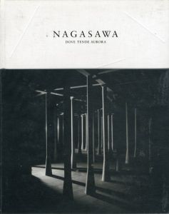 長澤英俊　オーロラの向かう所/長澤英俊展実行委員会編