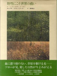 野性にこそ世界の救い/ヘンリー・デイヴィッド・ソロー　エリオット・ポーター写真　酒本雅之訳