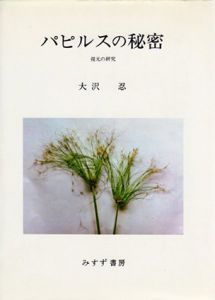 パピルスの秘密　復元の研究/大沢忍