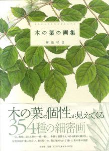 木の葉の画集/安池和也編