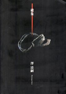 破象　澤清嗣作品集/澤清嗣