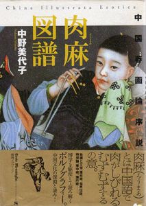 肉麻図譜　中国春画論序説/中野美代子