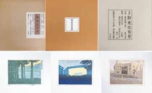 新東京百景　愛蔵版/恩地孝四郎/諏訪兼紀/平塚運一/川上澄生/深沢索一/藤森静雄/逸見享/前川千帆