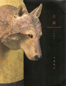 月痕　Fragment of the moon/大森暁生