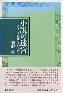 小説の迷宮　ディケンズ後期小説を読む/新野緑