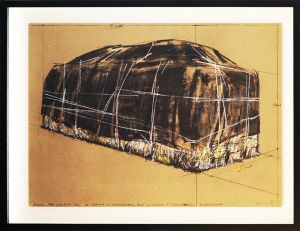 クリスト版画額「Packed Hay」/Christo