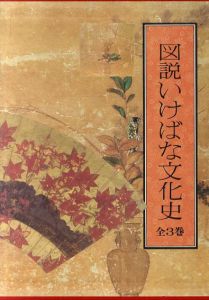 図説　いけばな文化史　3冊組/主婦の友編