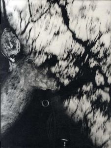 マイケル・ライト写真集　Michael Light: Ranch/Michael Light　Rebecca Solnit
