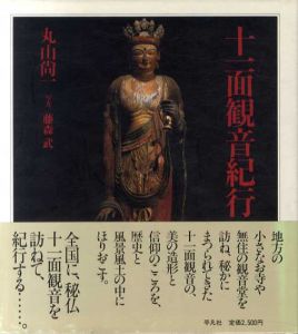 十一面観音紀行/丸山尚一　藤森武写真