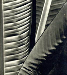 The Quillan Collection of 19th and 20th Century Photographs/Jill Quasha