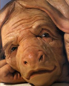 パトリシア・ピッチニーニ　We Are Family　Venice Biennale 2003 Australia/Patricia Piccinini