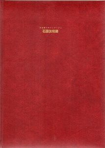 石原友明展　美術館へのパッサージュ/のサムネール