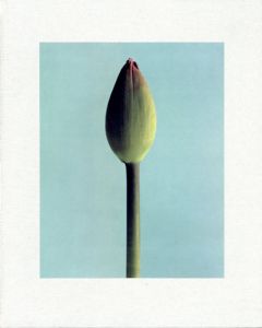 Deshima/Celine van Balen/Carla van de Puttelaar/Willem van Zoetendaal他