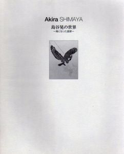 島谷晃の世界　鳥になった画家/