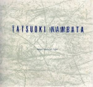 難波田龍起　石窟の時間/難波田龍起