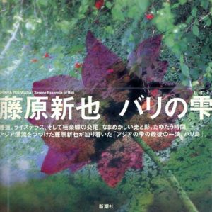 藤原新也写真集　バリの雫/藤原新也