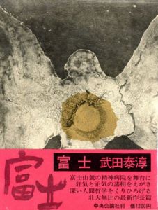 富士/武田泰淳