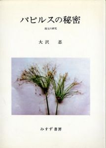 パピルスの秘密　復元の研究/大沢忍