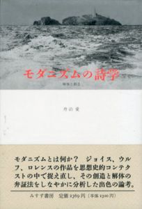 モダニズムの詩学　解体と創造/丹治愛