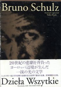 ブルーノ・シュルツ全集/Bruno Schulz　工藤幸雄訳
