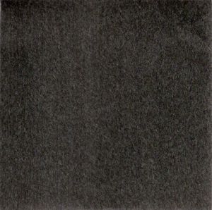 Traces of Picasso　ピカソの手/