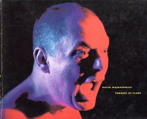 デイヴィッド・ヴォイナロヴィッチ　David Wojnarowicz: Tongues of Flame/