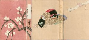 女の生命　前篇/菊地幽芳