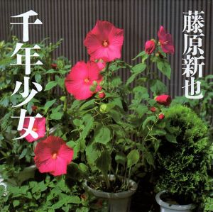 藤原新也写真集　千年少女 /藤原新也