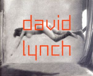 デヴィッド・リンチ　David Lynch/Werner Spies編のサムネール