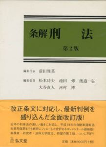 条解刑法　第2版/前田雅英編