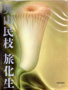 奥山民枝　旅化生/奥山民枝のサムネール