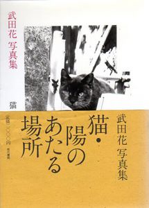 武田花写真集　猫・陽のあたる場所/武田花